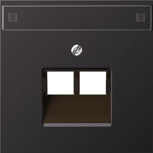 Jung LS range afdekking UAE/IAE 2 connectoren MetaalMet label aluminium AL2969-2NAUAD