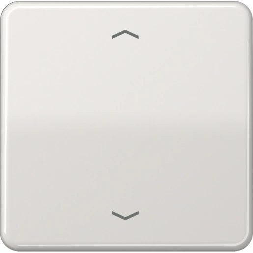 Jung CD range Afdekking CD500 standaard voor 1730JE enkelvoudig Glanzend grijs RAL 7035 CD1700PLG