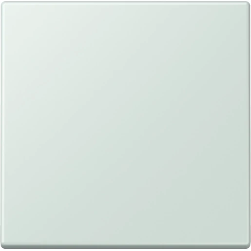 Jung LS range Bluetooth wandzender 2-kanalen BLELC990215