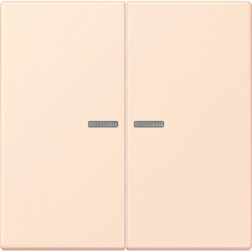 Jung LS range Home stuurafdekking LC32082 2-voudig Mat BTLC17102226