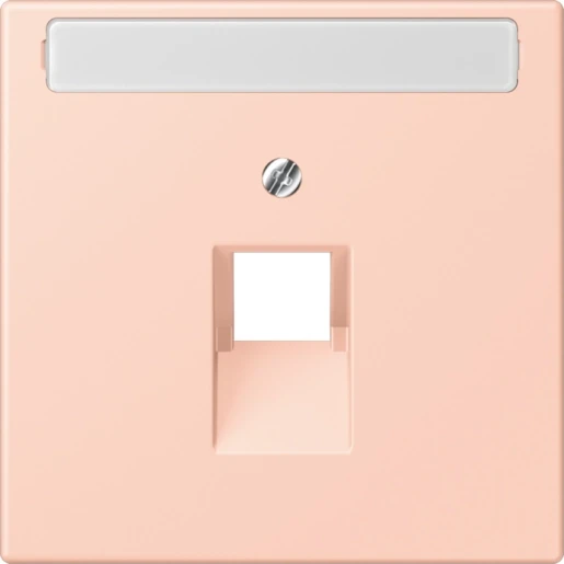 Jung LS range Afdekking centraalplaat LC32112 UAE/IAE 1 connector Met label LC969-1NAUA234