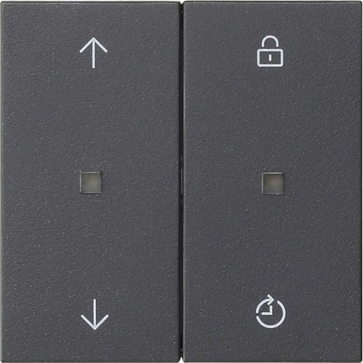 Gira System 55 bedieningselement memory pijlen 2-voudig antraciet 549228