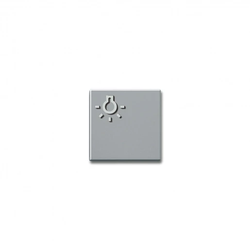 Siedle Lichttoets + lichtsymbool zilver 200029098-00
