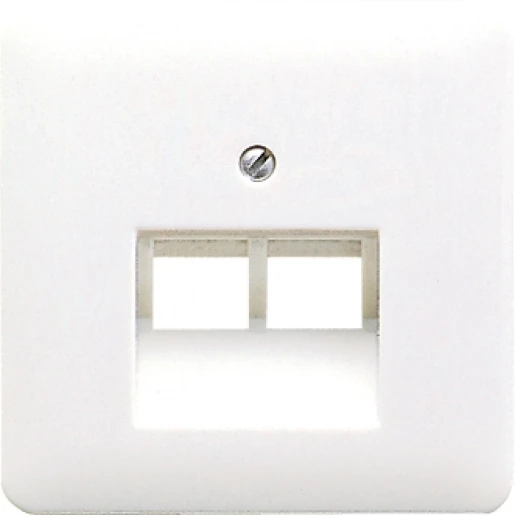 Jung CD range inzetplaat cd500 UAE/IAE 2 connectoren Zonder label grijs CD569-2UAGR