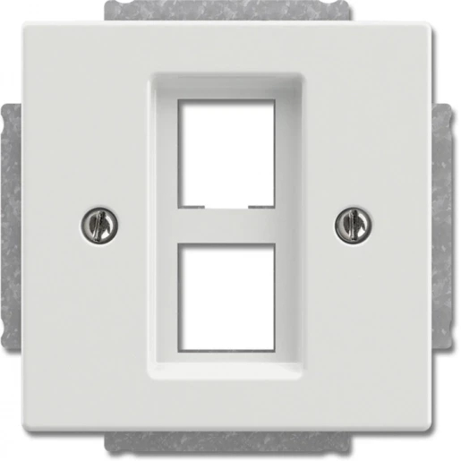 ABB Busch-Jaeger Future Centraalplaat Basiselement met centrale afdekplaat 2 connectoren Zonder label wit 2CKA001753A0396