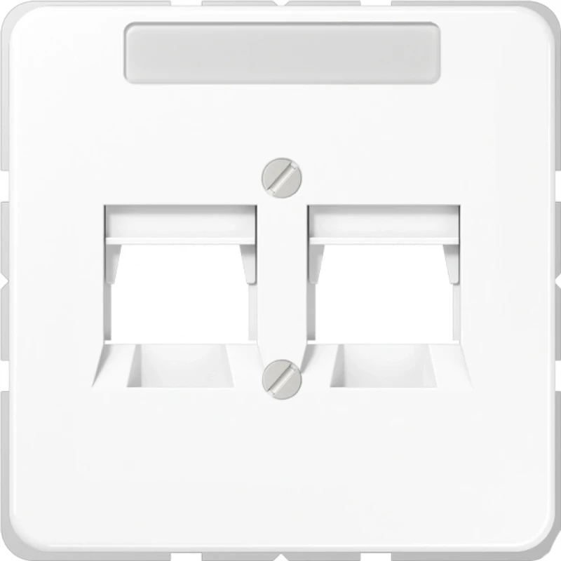 Jung CD range Afdekking voor EMT AMP MTRJ Modular-Jack 2 connectoren Met label grijs CD569-25NWEGR