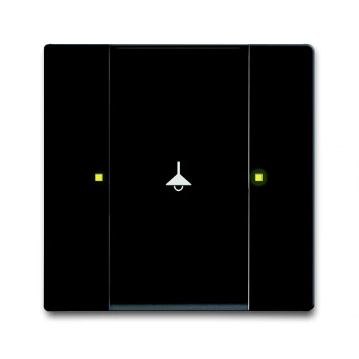 ABB Busch-Jaeger KNX, Future Tastsensor multifunctioneel KNX 2-voudig zwart met tekstv IP20 RAL 9005 2CKA006115A0204