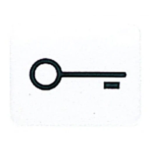 Jung inzetstuk alpine wit contactdoos ls/wg600/ap sleutel Symbool "sleutel/deur" 33TWW