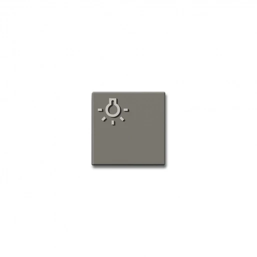 Siedle Lichttoets + lichtsymbool 200029099-00