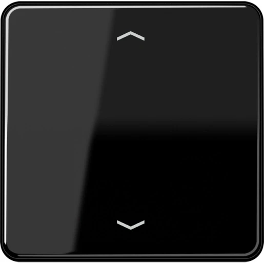 Jung CD range Afdekking CD500 standaard voor 1730JE enkelvoudig Glanzend zwart RAL 9005 CD1700PSW