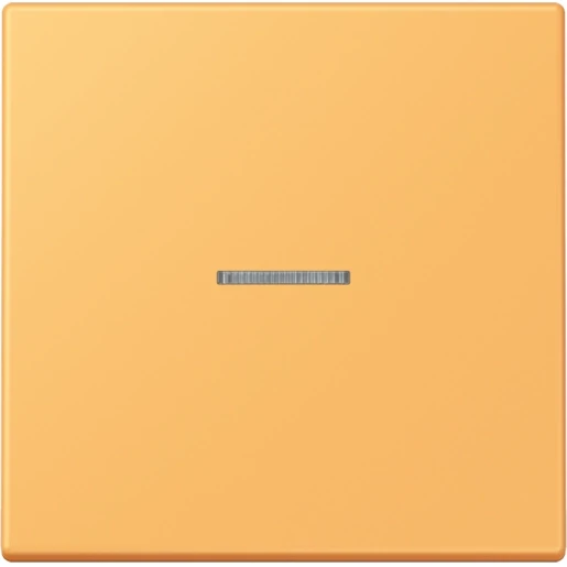 Jung LS range Home stuurafdekking LC4320L enkelvoudig Mat BTLC17101254