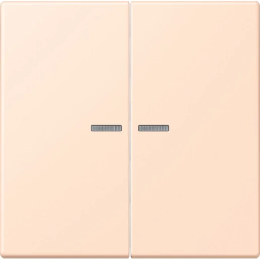 Jung LS range Home stuurafdekking LC32091 2-voudig Mat BTLC17102228