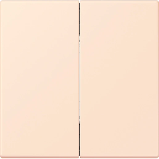 Jung LS range Friends of Hue wandzender 4-kanalen FOHLC995226