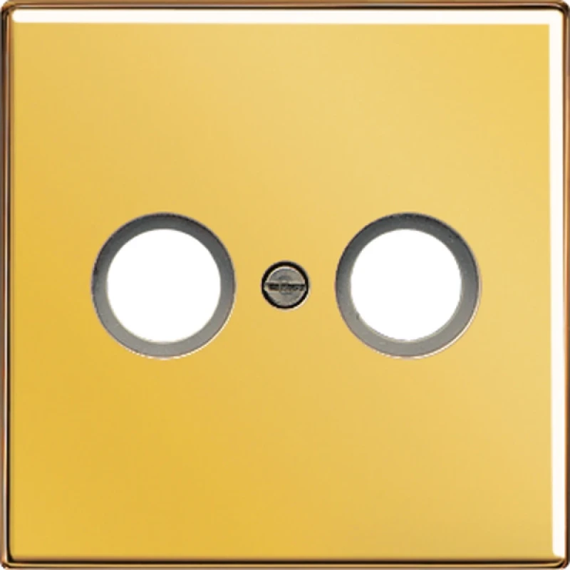 Jung LS range Afdekking TV-FM aansluitdoos 1 connector MetaalZonder label goud LS990TVGGO