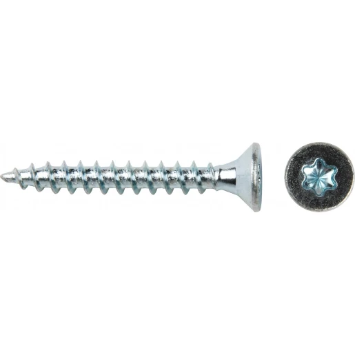 Bizline SPAANPLAATSCHROEF VERZONKEN KOP TORX Ø 4x25 MM (X 200)