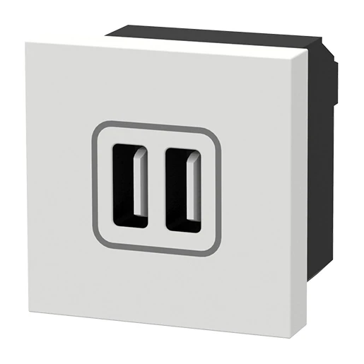 HPL USB-lader 220V 3000mA moduledrager 0V 2 USB A wit 252.2311