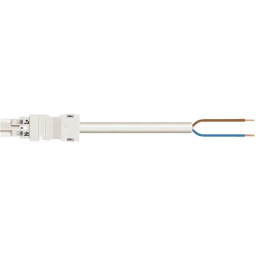 Wago SERIE 771 Patchkabel gebouwinstallatie 2p Stekker Vrij kabeluiteinde 5000mm