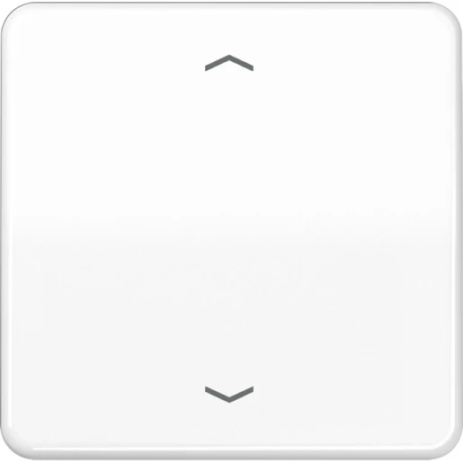 Jung CD range Afdekking CD500 standaard voor 1730JE enkelvoudig Glanzend wit RAL 9016 CD1700PWW