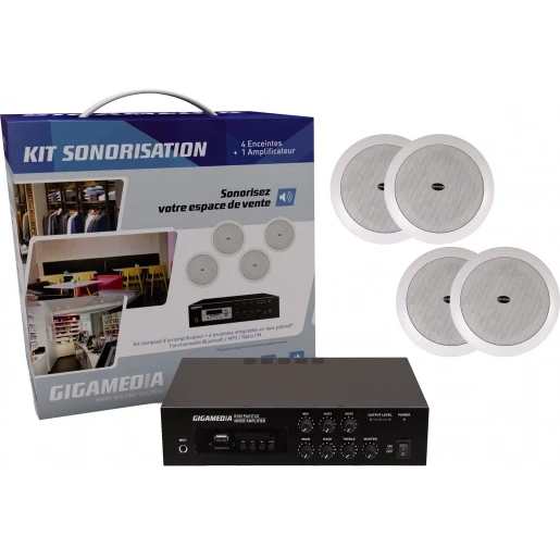 Gigamedia 100V Audiokit met 4 speakers