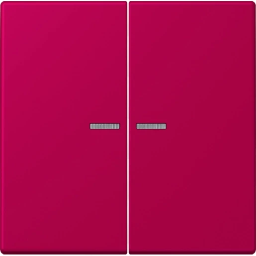 Jung LS range Home stuurafdekking LC32101 2-voudig Mat BTLC17102230