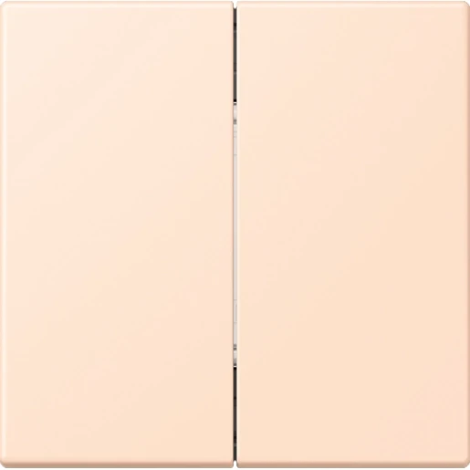 Jung LS range Friends of Hue wandzender 4-kanalen FOHLC995228