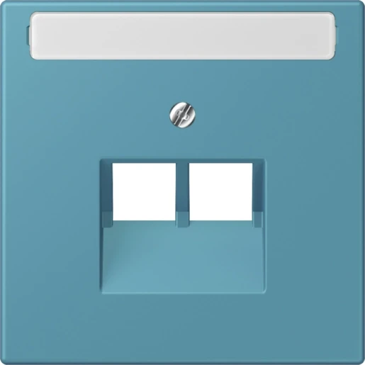 Jung LS range Afdekking centraalplaat LC32031 UAE/IAE 2 connectoren Met label LC969-2NAUA212