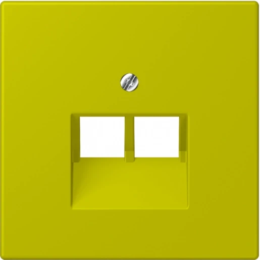 Jung LS range Afdekking centraalplaat 4320F UAE/IAE 2 connectoren Zonder label groen LC969-2UA249
