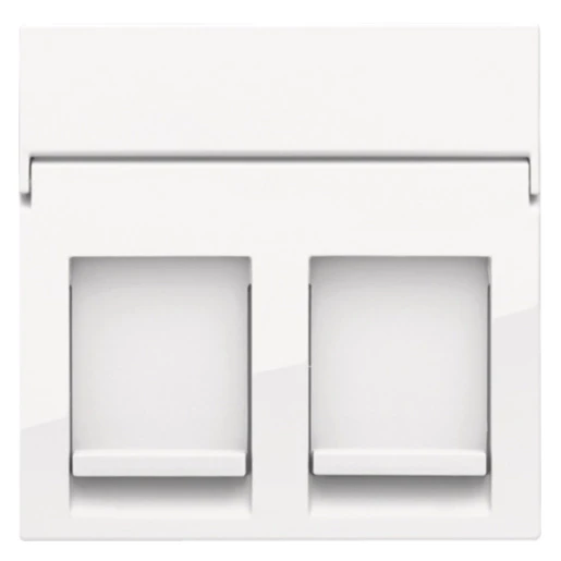 Niko Original bright white Centraalplaat data RJ Modular-Jack Centraalplaat 2 connectoren Zonder label wit 111-65200