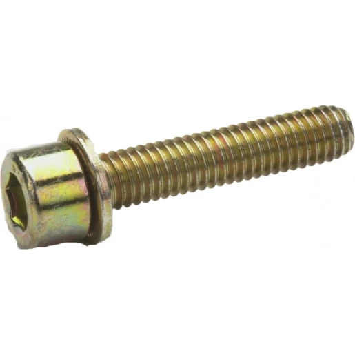 Eaton binnenzeskantschroef M6x30mm Staal Binnenzeskant zink 1071688