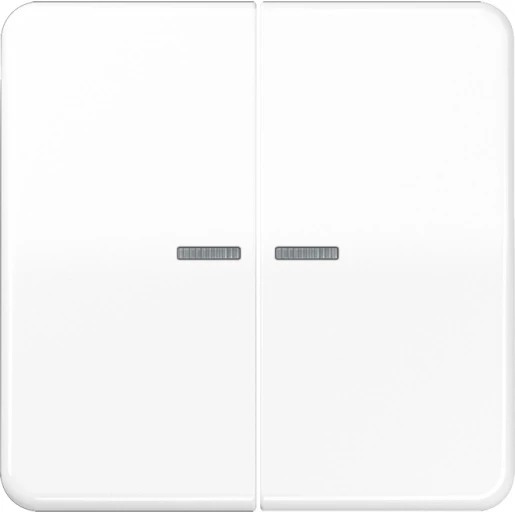 Jung CD range Knx RF-tastafdekking KNX 2-voudig wit inbouw IP2X RAL 9016 CD10921STRFWW