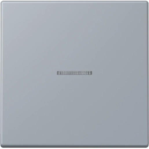 Jung LS range Home stuurafdekking LC4320O enkelvoudig Mat BTLC17101257