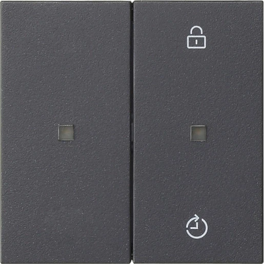 Gira System 55 draadloos bedieningselement memory enkelvoudig antraciet 549328
