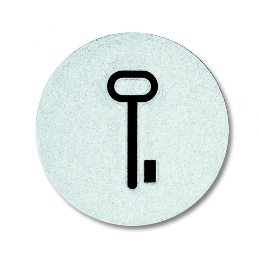 ABB Busch-Jaeger SI voelbaar transparant sleutel symbool 2CKA001714A0297