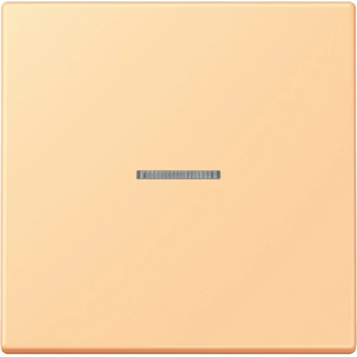 Jung LS range Home stuurafdekking LC4320P enkelvoudig Mat BTLC17101258