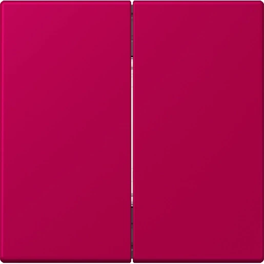 Jung LS range Friends of Hue wandzender 4-kanalen FOHLC995230