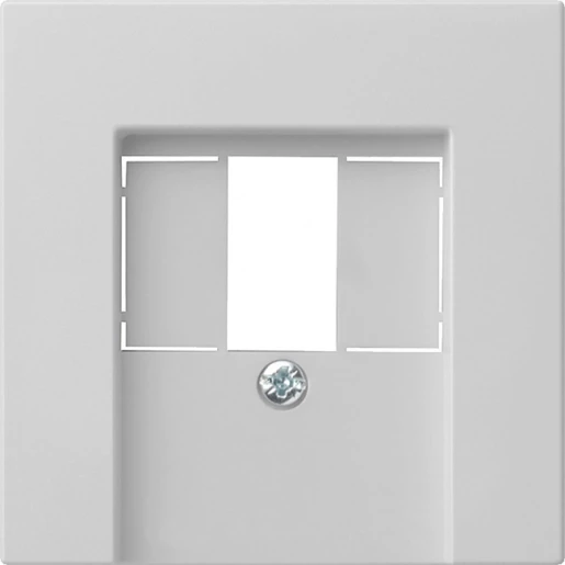Gira System 55 afdekking usb TAE Centraalplaat Zonder label grijs 0276015