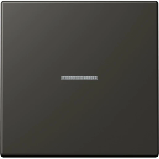 Jung LS range Home stuurafdekking LC4320R enkelvoudig Mat BTLC17101259