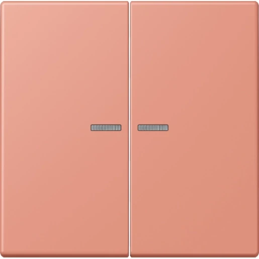 Jung LS range Home stuurafdekking LC32111 2-voudig Mat BTLC17102233