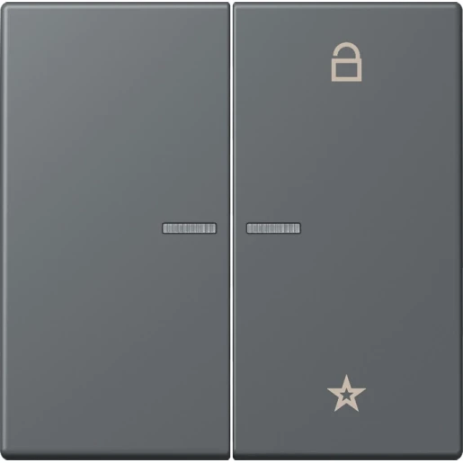 Jung LS range stuurafdekking universeel lc32010 2-voudig Mat FMLC1701202