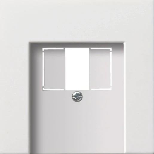 Gira F100 afdekking usb TAE Centraalplaat Zonder label wit 0276112