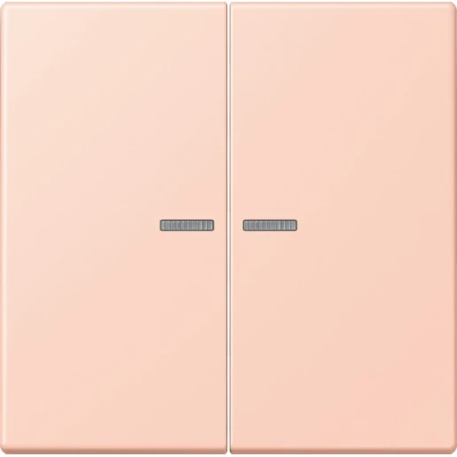 Jung LS range Home stuurafdekking LC32112 2-voudig Mat BTLC17102234