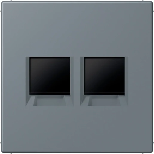 Jung LS range Afdekking centraalplaat AMP Radiall LC4320H Modular-Jack 2 connectoren Zonder label LC1969-2WE251