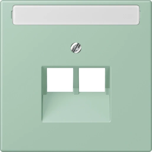 Jung LS range Afdekking centraalplaat LC32041 UAE/IAE 2 connectoren Met label LC969-2NAUA217