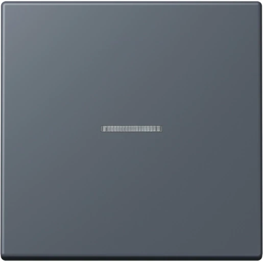 Jung LS range Home stuurafdekking LC4320U enkelvoudig Mat BTLC17101262