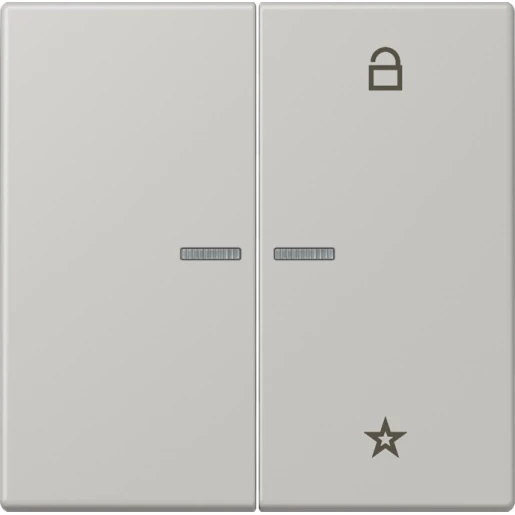 Jung LS range stuurafdekking universeel lc32013 2-voudig Mat FMLC1701205