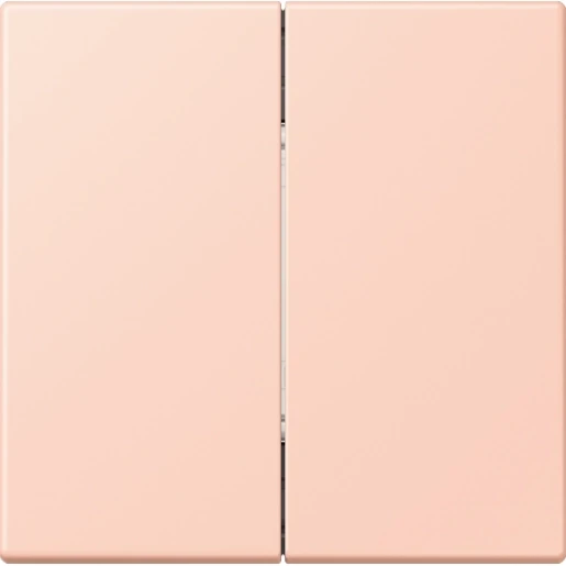 Jung LS range Friends of Hue wandzender 4-kanalen FOHLC995234