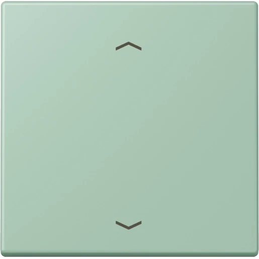 Jung LS range Stuurafdekking standaard pijlen LC32041 enkelvoudig Mat LC1700P217