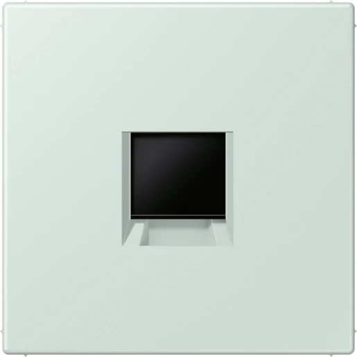 Jung LS range Afdekking centraalplaat AMP Radiall LC32034 Modular-Jack 1 connector Zonder label LC1969-1WE215