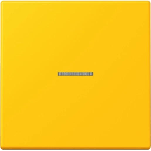 Jung LS range Home stuurafdekking LC4320W enkelvoudig Mat BTLC17101263