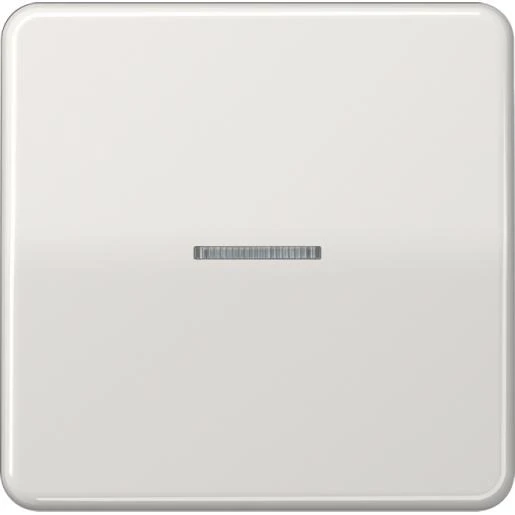 Jung CD range tastafdekking standaard licht grijs enkelvoudig Glanzend grijs RAL 7035 FMCD1700LG